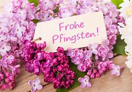 rosa Blumen mit Wnschen frohe Pfingsten